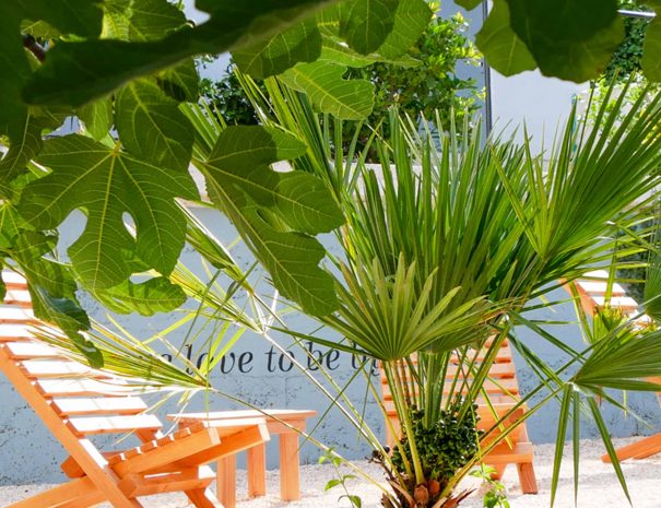 croatia-holiday-apartment-garden-terrace