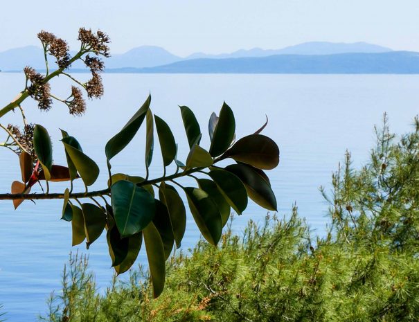 dalmatia-holiday-apartment-adria20